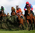 Grand National 2025