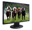 Live Horse Racing Streams