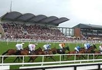 Fairyhouse live