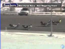 Flamboro Downs live