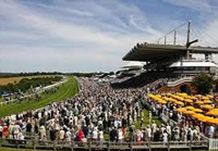 Goodwood live