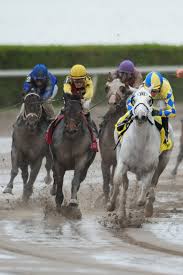 Gulfstream Park West live