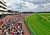 Haydock Park live