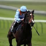 Newbury Lockinge Stakes live