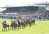 Punchestown live