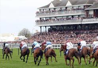 Scottish Grand National live