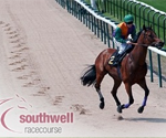 Southwell live