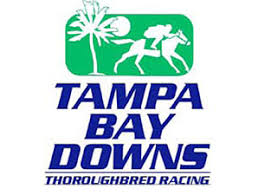 Tampa Bay Downs live