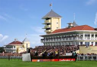 Towcester live