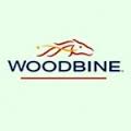 Woodbine live